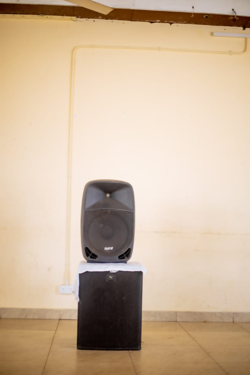 Conference audio support